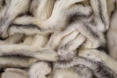 Doku, arka plan. Vizon kürk çok renkli. vizon kuyrukları