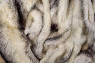 Doku, arka plan. Vizon kürk çok renkli. vizon kuyrukları