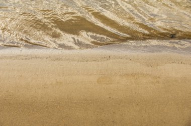 Doku, arka plan. kum plaj. gevşek taneli madde, soluk sarımsı kahverengi, silisli ve diğer kayalar erozyon kaynaklanan ve plajları büyük bir kurucu şekillendirme,