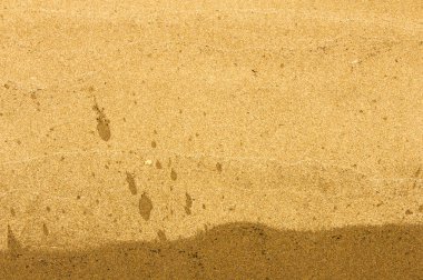 Doku, arka plan. kum plaj. gevşek taneli madde, soluk sarımsı kahverengi, silisli ve diğer kayalar erozyon kaynaklanan ve plajları büyük bir kurucu şekillendirme,