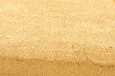 Doku, arka plan. kum plaj. gevşek taneli madde, soluk sarımsı kahverengi, silisli ve diğer kayalar erozyon kaynaklanan ve plajları büyük bir kurucu şekillendirme,