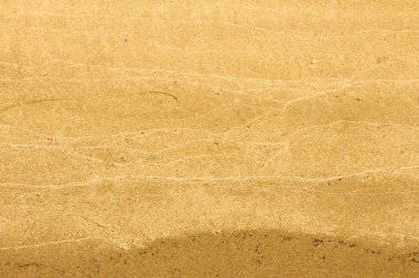 Doku, arka plan. kum plaj. gevşek taneli madde, soluk sarımsı kahverengi, silisli ve diğer kayalar erozyon kaynaklanan ve plajları büyük bir kurucu şekillendirme,