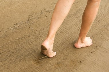 Doku, arka plan. kum plaj. gevşek taneli madde, soluk sarımsı kahverengi, silisli ve diğer kayalar erozyon kaynaklanan ve plajları büyük bir kurucu şekillendirme,