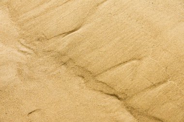 Doku, arka plan. kum plaj. gevşek taneli madde, soluk sarımsı kahverengi, silisli ve diğer kayalar erozyon kaynaklanan ve plajları büyük bir kurucu şekillendirme,