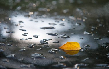 pastel. Doku arka plan. boya üzerinde yağmur damlaları. Su damlaları şeklinde Yağış.