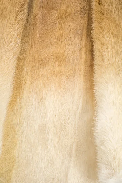 Texture Background Mink Fur Mink Coat Gold Color Mink Fur — Stock Photo, Image