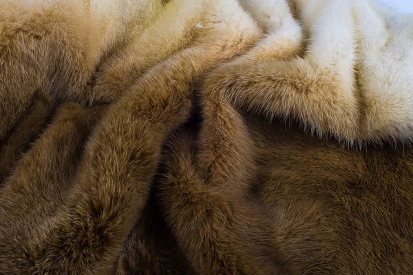 Texture, background. mink fur. Mink coat. Gold color mink fur. a small, semiaquatic, stoatlike carnivore native to North America and Eurasia. The American mink is widely farmed for its fur.