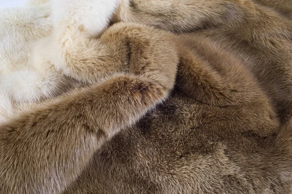 Texture Background Mink Fur Mink Coat Gold Color Mink Fur — Stock Photo, Image