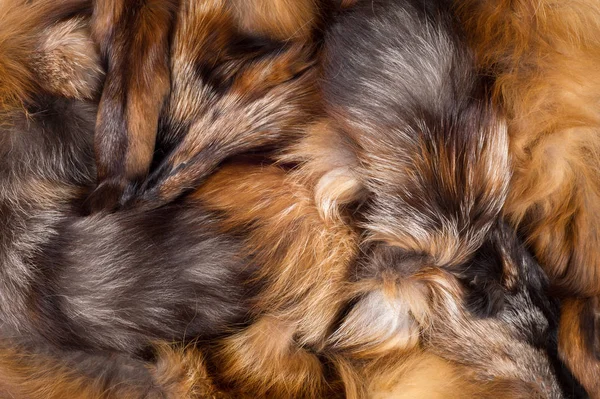 Textur Bakgrund Päls Fox Ett Köttätande Däggdjur Hunden Familjen Med — Stockfoto