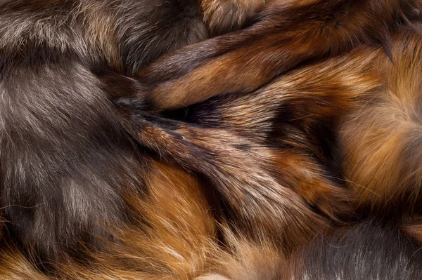 Υφή Φόντο Γούνα Αλεπούς Σαρκοφάγο Θηλαστικό Της Σκυλί Οικογένειας Ένα — Φωτογραφία Αρχείου