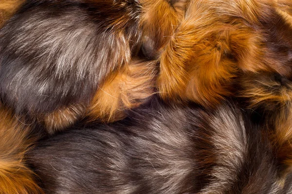 Υφή Φόντο Γούνα Αλεπούς Σαρκοφάγο Θηλαστικό Της Σκυλί Οικογένειας Ένα — Φωτογραφία Αρχείου