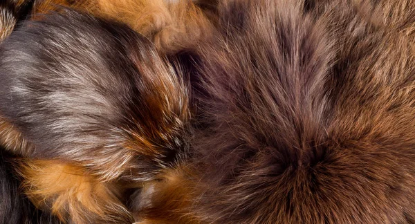 Texture Sfondo Pelliccia Volpe Mammifero Carnivoro Della Famiglia Canina Con — Foto Stock