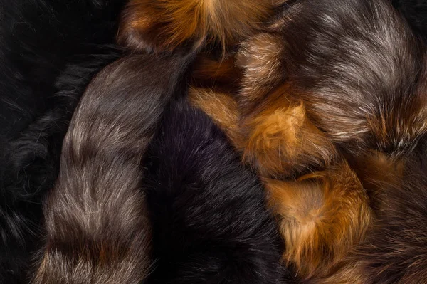Textur Hintergrund Pelzfuchs Ein Fleischfressendes Säugetier Aus Der Hundefamilie Mit — Stockfoto