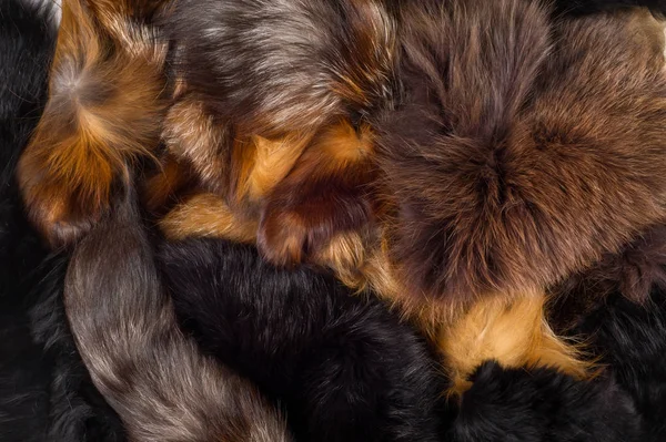 Texture Background Fur Fox Carnivorous Mammal Dog Family Pointed Muzzle — Stock Photo, Image