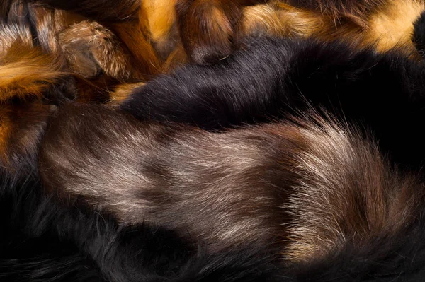 Het Patroon Achtergrond Bont Fox Een Vleesetende Zoogdier Van Hond — Stockfoto