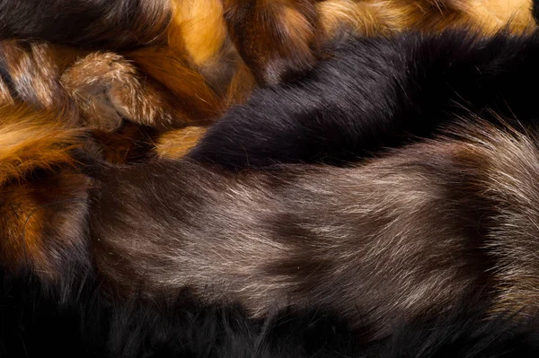 Textur Bakgrund Päls Fox Ett Köttätande Däggdjur Hunden Familjen Med — Stockfoto