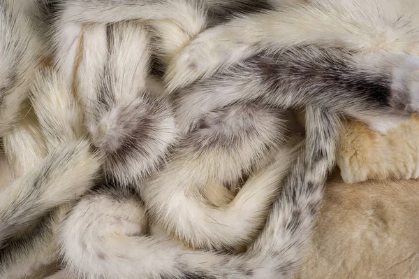 Textur Hintergrund Nerz Bunt Nerzschwänze — Stockfoto