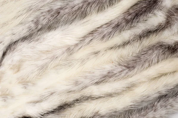 テクスチャ ミンクの毛皮色とりどり ミンクしっぽ — ストック写真