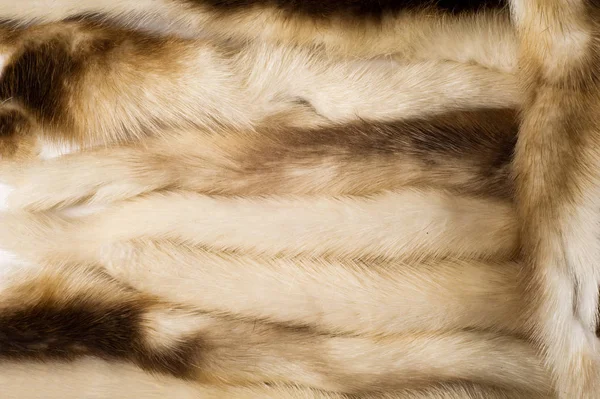 Texture, background. Mink fur multicolored. mink tails