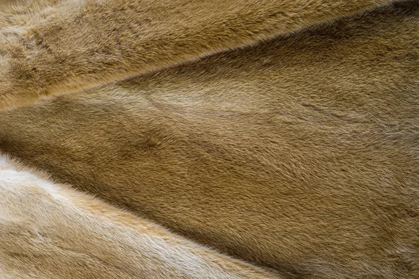 Υφή Φόντο Γούνα Βιζόν Έχει Κοντό Λεπτό Μαλακό Μαλλιά Ορισμένων — Φωτογραφία Αρχείου