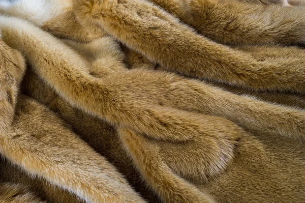 纹理背景 水貂皮草 好的某些动物的软毛 食肉哺乳动物的家庭鼬 — 图库照片