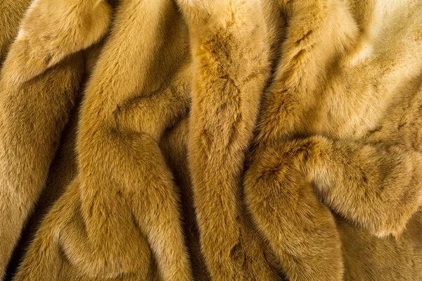 Texture, background. Mink fur — Stock Photo, Image