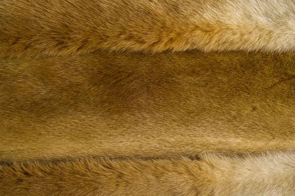 Texture Background Mink Fur Short Fine Soft Hair Certain Animals — Stock Photo, Image