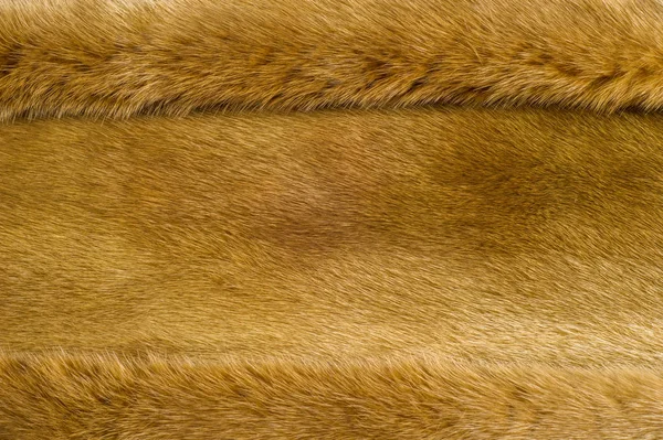 Υφή Φόντο Γούνα Βιζόν Έχει Κοντό Λεπτό Μαλακό Μαλλιά Ορισμένων — Φωτογραφία Αρχείου