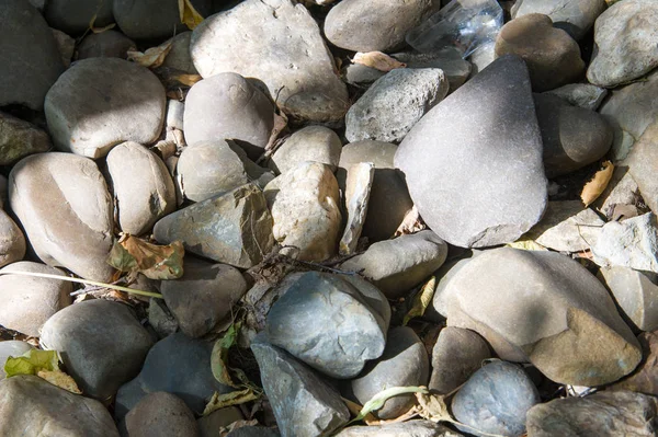 stock image Texture, background. pebbles. a small stone made smooth and round by the action of water or sand.