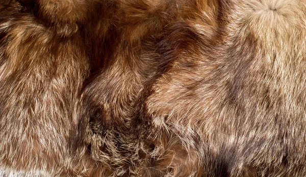 Мех Пальто Животного Мех Животного Текстура Фон Fox Fur — стоковое фото