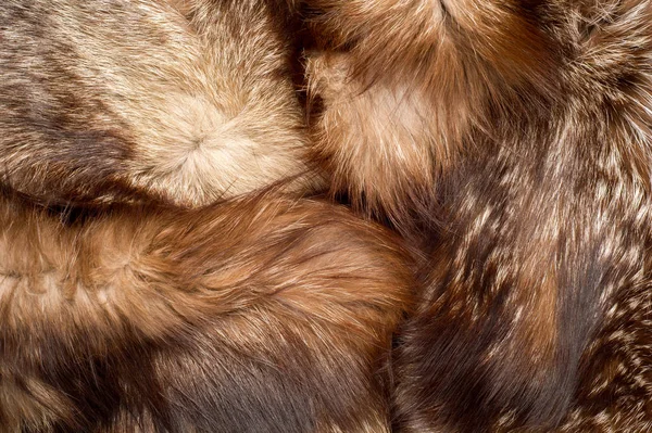 動物のコート 動物の毛皮 背景のテクスチャです キツネの毛皮 — ストック写真