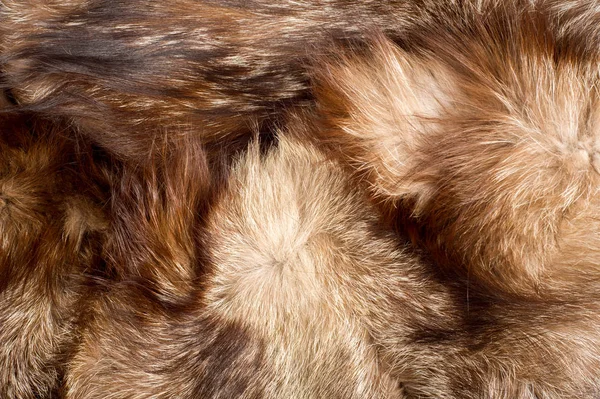 Мех Пальто Животного Мех Животного Текстура Фон Fox Fur — стоковое фото