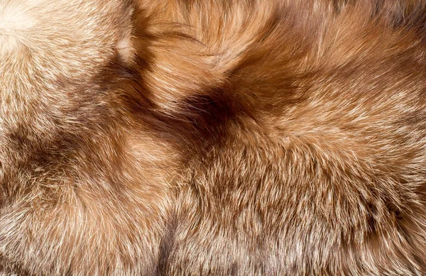 Päls. Pälsen av djuret. textur bakgrund — Stockfoto