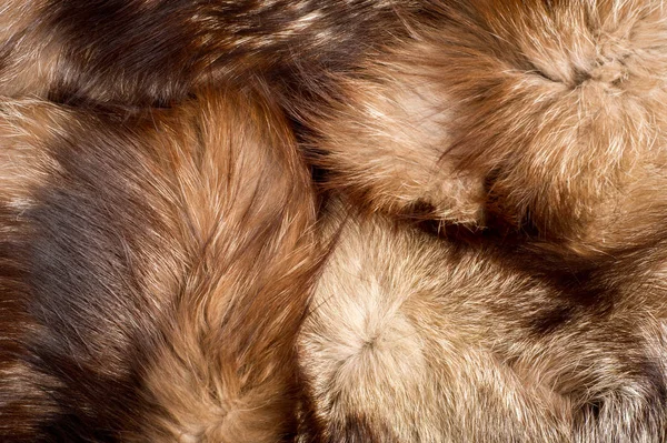 Futro Sierść Zwierzęcia Sierści Zwierząt Tekstura Tło Fox Futro — Zdjęcie stockowe