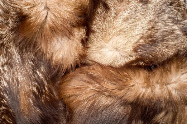 Fourrure. Le manteau de l'animal. texture Contexte — Photo