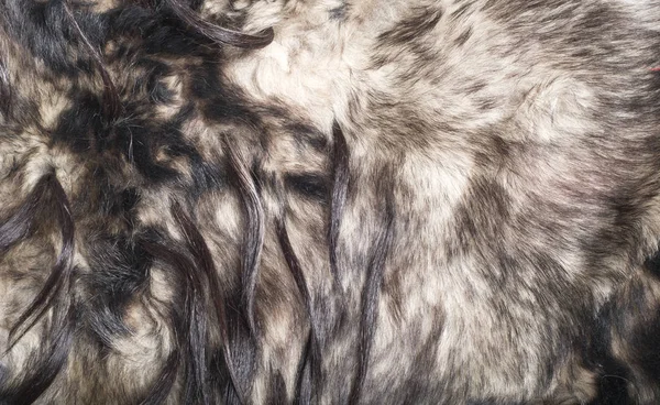Fur Coat Animal Fur Animal Texture Background — Stock Photo, Image