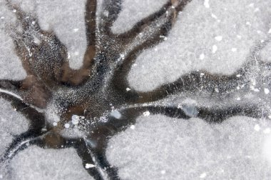 buz yapı, Bina, inşaat, kumaş, devlet, doku doku. hissediyorum, görünüm veya bir yüzey veya bir madde tutarlılık.