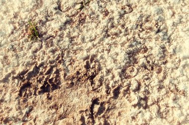 Toprak tuz doku. Kuraklık ve parlak güneşin oluşturulan çatlaklar toprağa