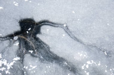 buz yapı, Bina, inşaat, kumaş, devlet, doku doku. hissediyorum, görünüm veya bir yüzey veya bir madde tutarlılık.