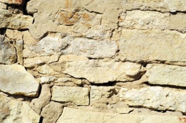 doku taş. içinde belgili tanımlık vahşi fotoğrafı