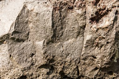 doku taş. içinde belgili tanımlık vahşi fotoğrafı