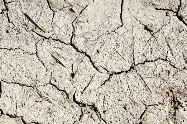 Desert Wilderness Waste Sands Wilds Sahara Texture Dry Land Dry — Stock Photo, Image