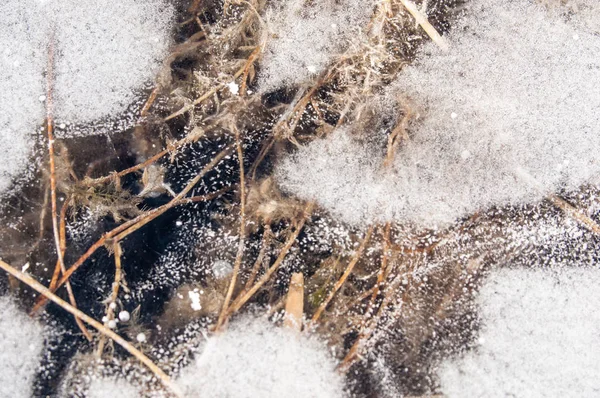 Textur Ice Struktur Byggnad Konstruktion Tyg Staten Textur Den Känsla — Stockfoto