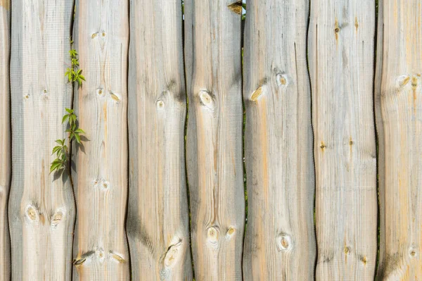 木製構造物のテクスチャ — ストック写真