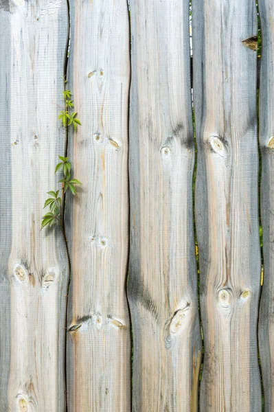 木製構造物のテクスチャ — ストック写真