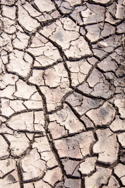 Textura Tierra Agrietada Sequía Prolongada Imagen De Stock