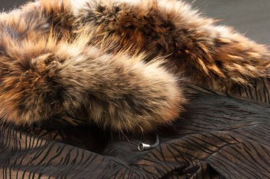 Dikişli deri ürünler. Fotoğraf stüdyosu