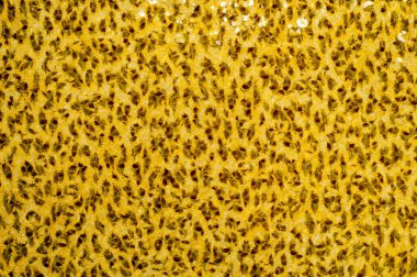 Kumaş deseni Hindistan fotoğraf stüdyosu ile