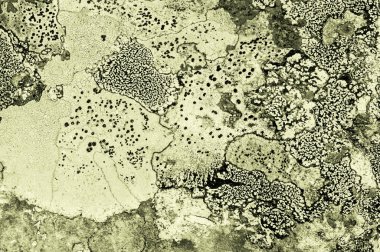 Liken taş dokusuna. Kaba granit taş arka plan doku Rock. Eski bir taş duvar.