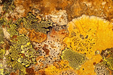 Liken taş dokusuna. Kaba granit taş arka plan doku Rock. Eski bir taş duvar.